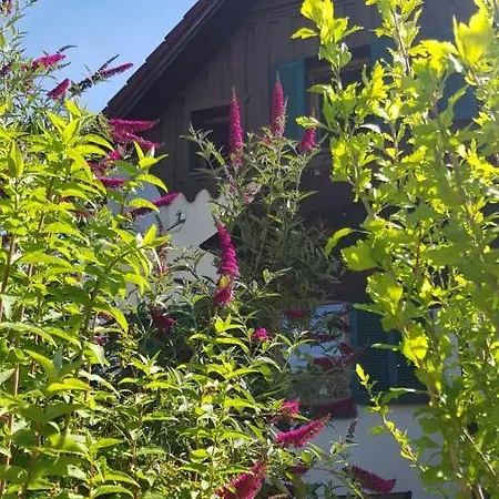 Chill&Sleep Bad Ischl Apartment Exterior photo
