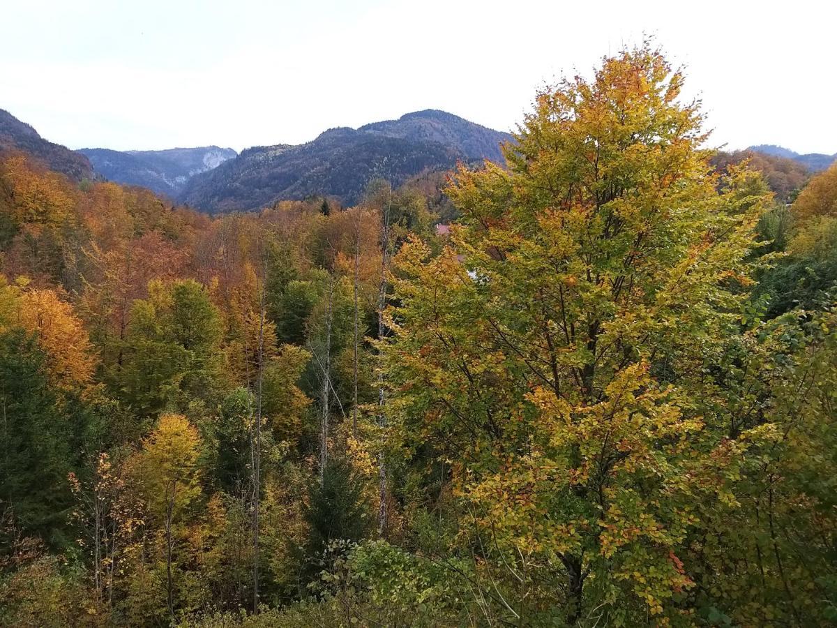Apartment Chill&sleep Bad Ischl