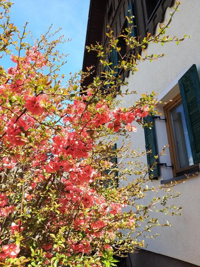 Chill&sleep Apartment Bad Ischl